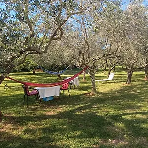 Appartamento Gabriela, Porec
